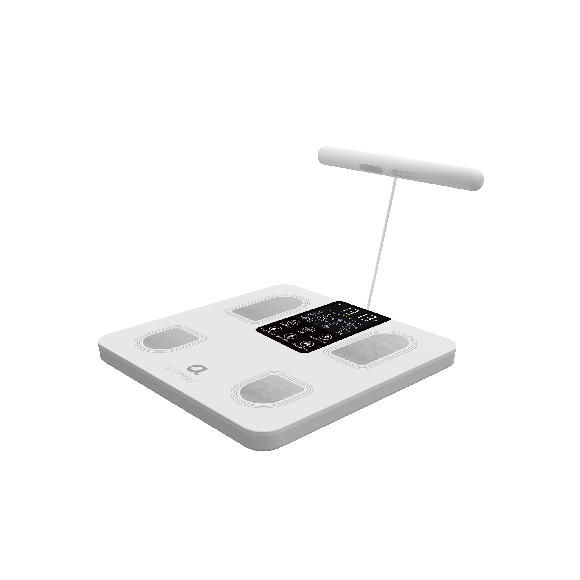 Segmental Smart Scale CS10E