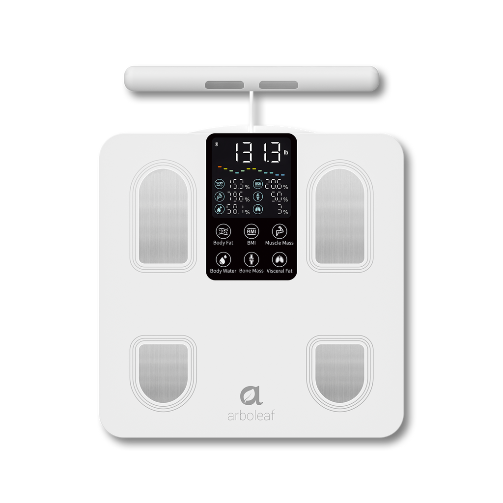 Segmental Smart Scale CS10E