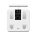 Segmental Smart Scale CS10E