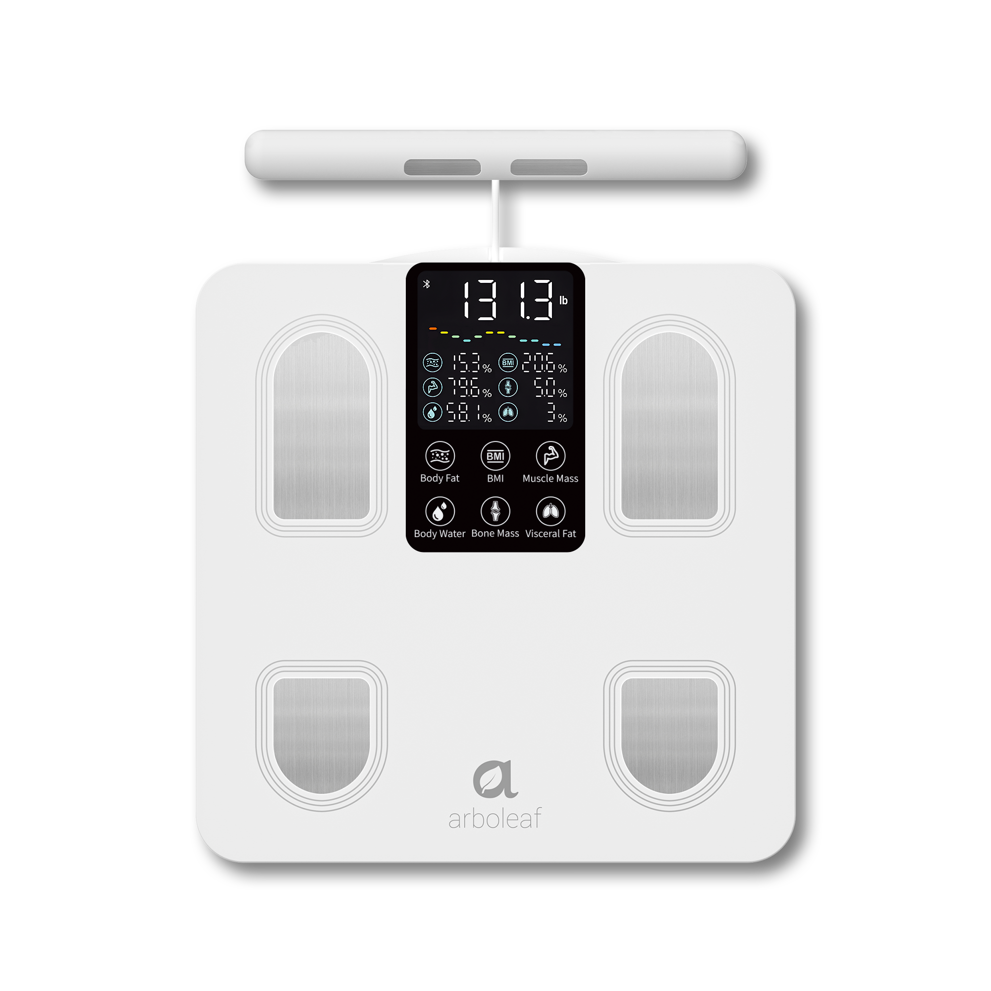 Segmental Smart Scale CS10E