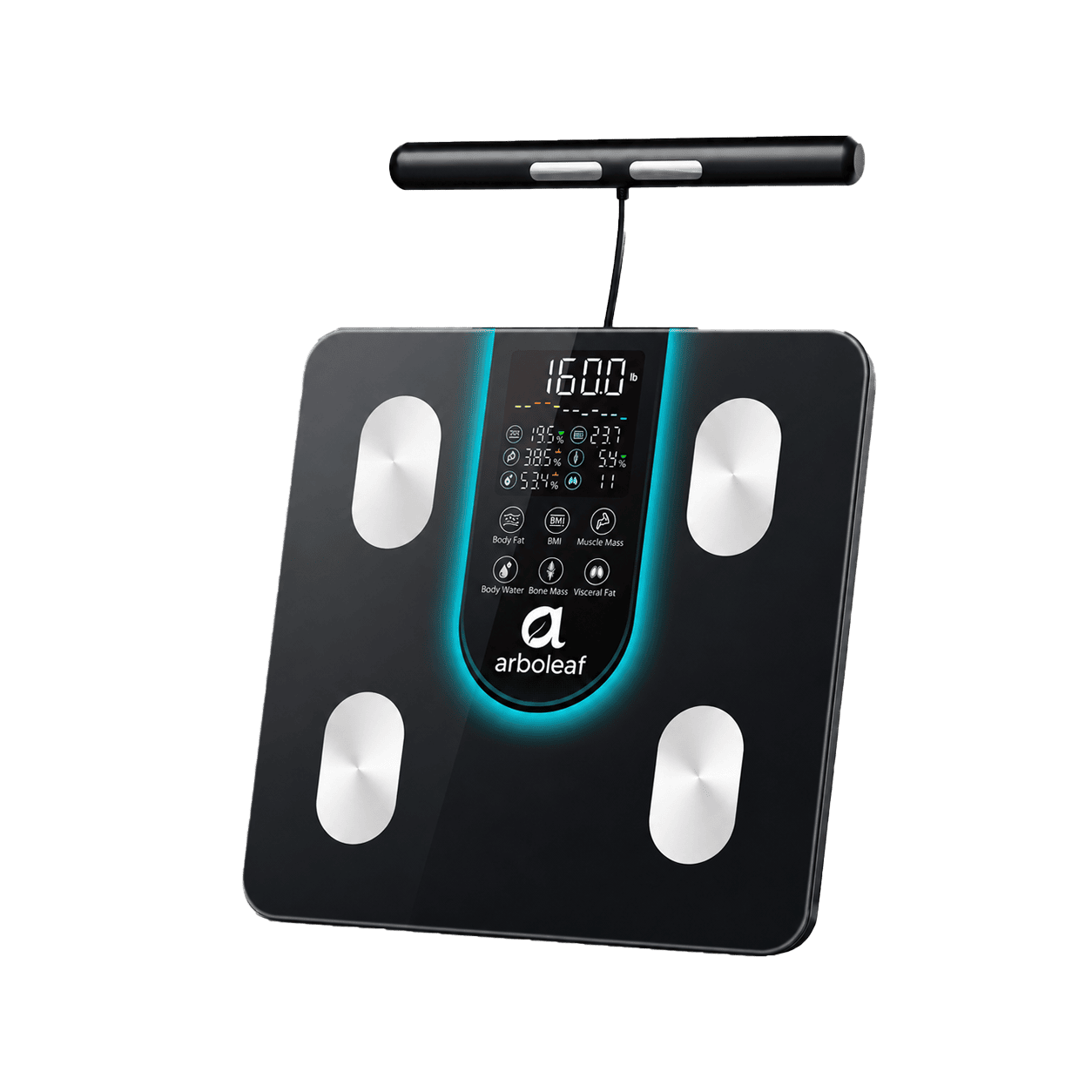 Segmental Smart Scale CS10K