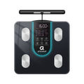 Segmental Smart Scale CS10K